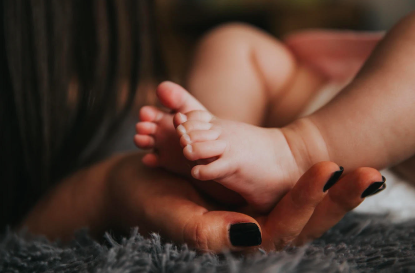 4-Day-Old Infant Killed By Family Dog, According To Reports 