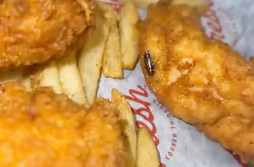 Woman Exposes Fast Food Restaurant After Finding Cockroaches In Her Food