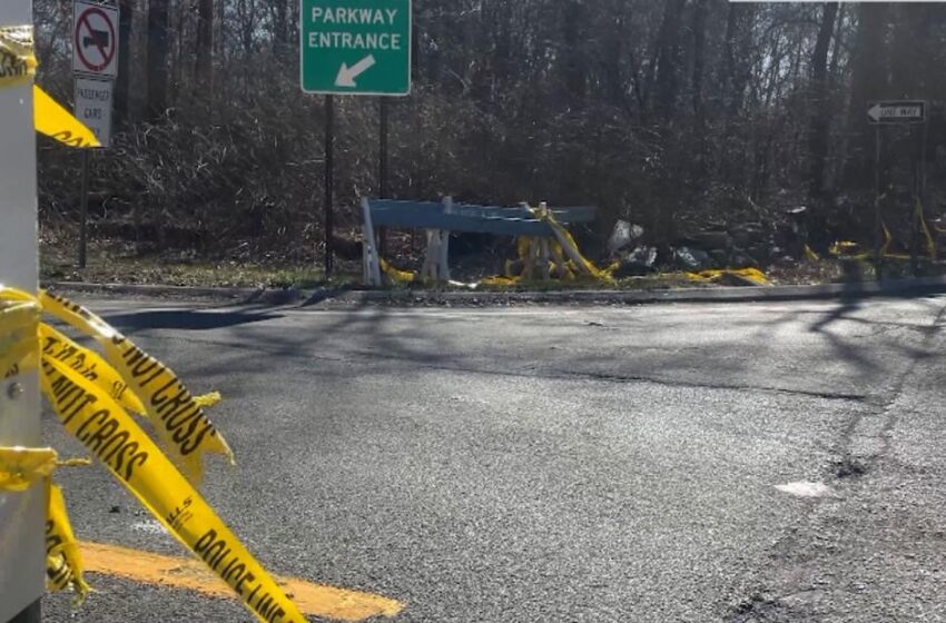 Five Young Siblings Die In Fiery New York Car Crash After Teen Driver Loses Control Of Vehicle