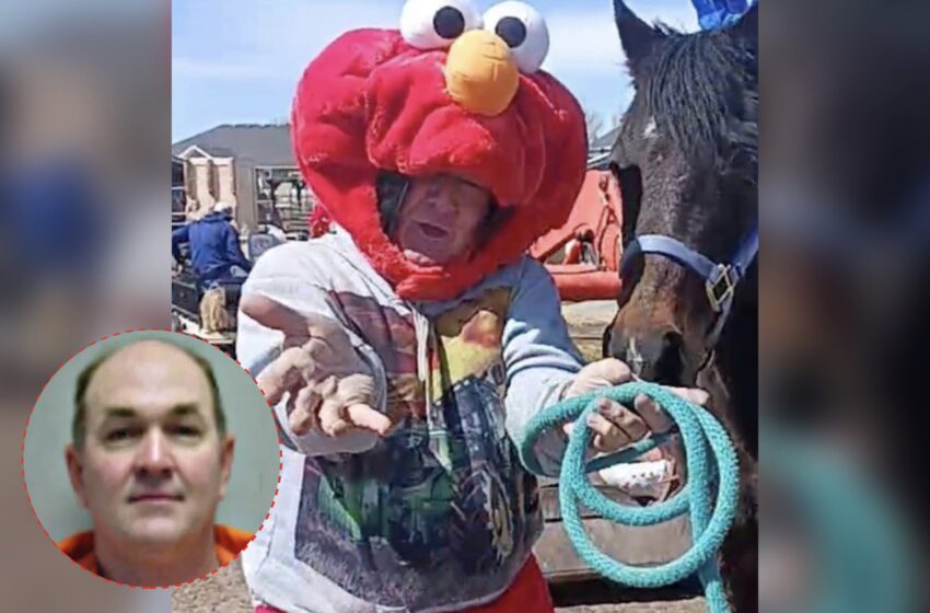 Elderly Sex Offender Arrested After Dressing Up As Elmo At Utah Farmers Market