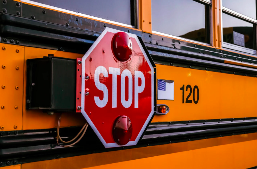 Stdent Fatally Struck By Swerving Pick-Up Truck At School Bus Stop