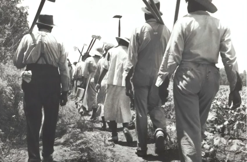 New Florida ‘Black History’ Curriculum Teaches Slavery Had ‘Personal Benefits’