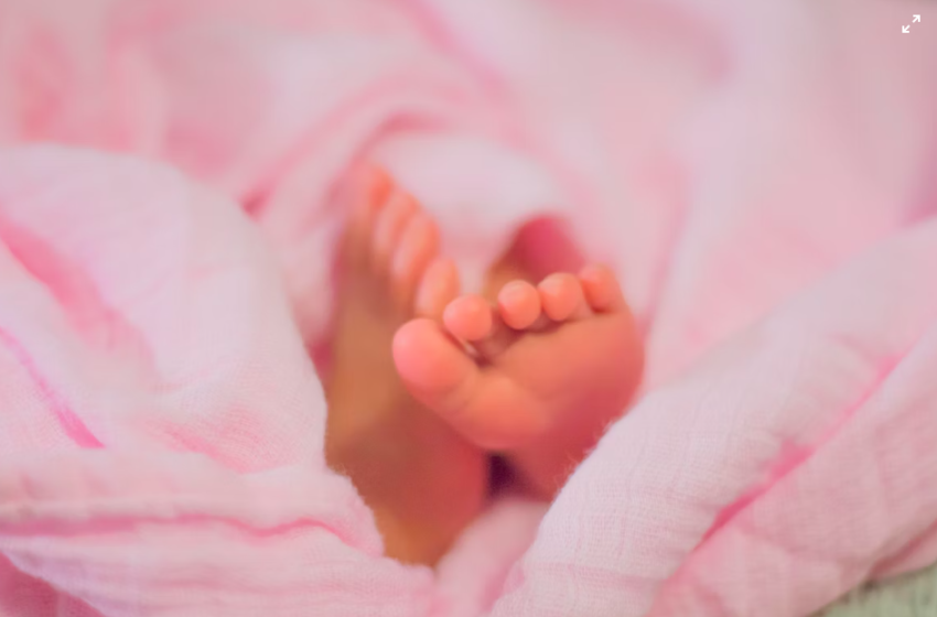 Infant With Umbilical Cord Still Attacked Was Discovered After Being Abandoned In Texas Heat Wave For Nearly 20 Hours