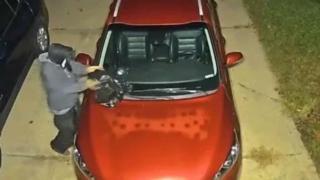 Authorities in Tewksbury are seeking the public's help in identifying an individual caught on surveillance camera dumping a deceased raccoon onto a woman's car, reports CBS News. 