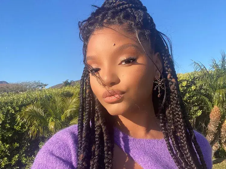 halle-bailey-slams-back-at-fan-angry-at-her-for-hiding-her-pregnancy-status