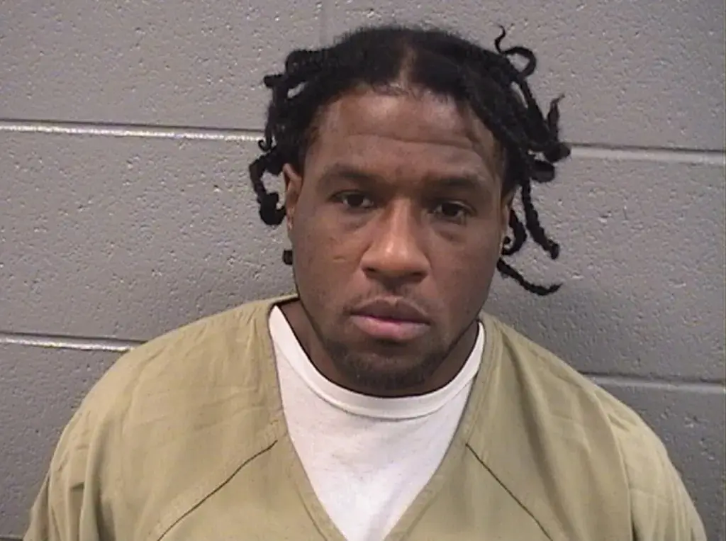 The chair of the Illinois Prisoner Review Board and a board member have resigned following public backlash over the release of a man who went on to fatally stab his ex-girlfriend's young son, reports the NY Post. 