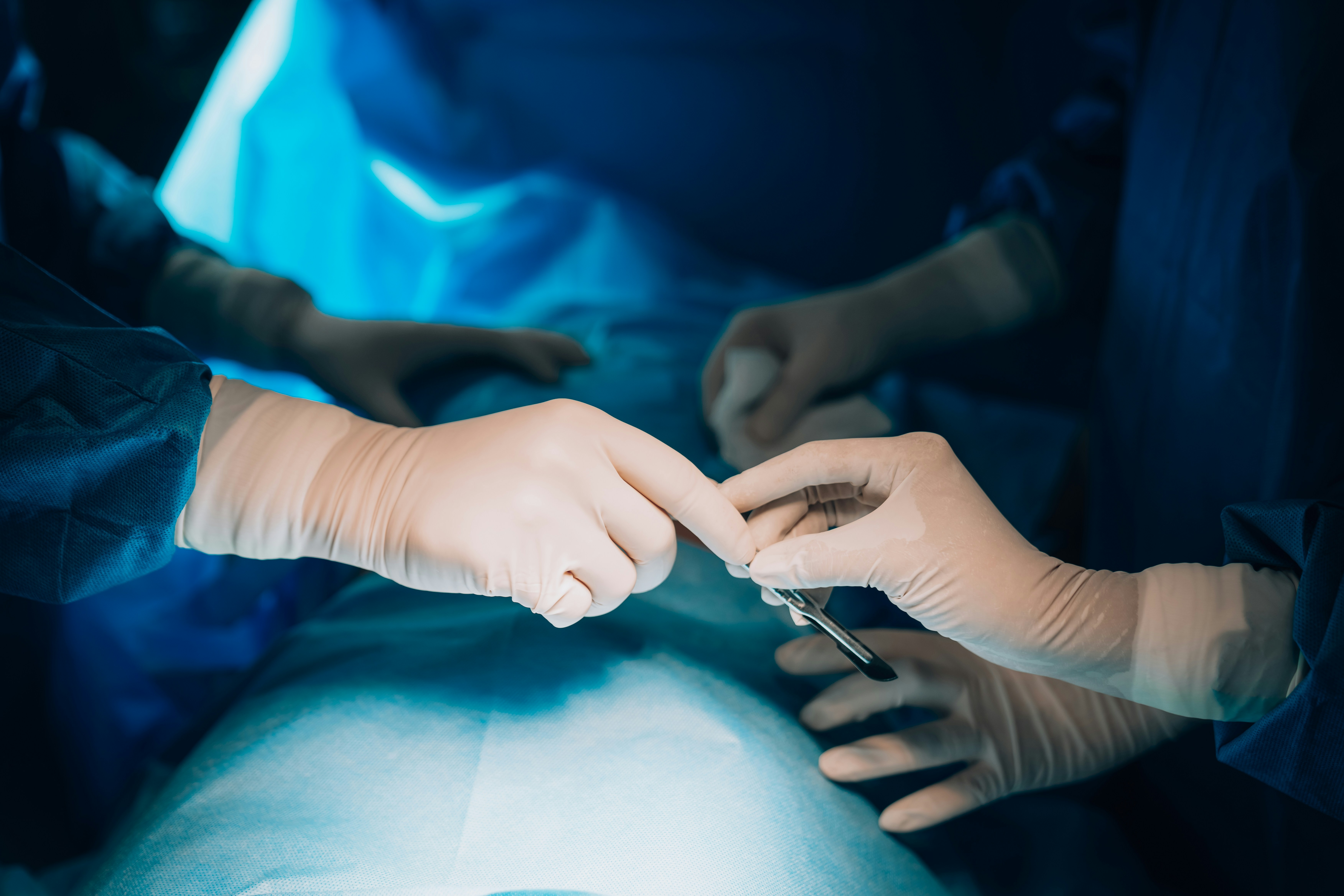 62-Year-Old Recipient Of Genetically Modified Pig Kidney Dies Weeks After Groundbreaking Transplant