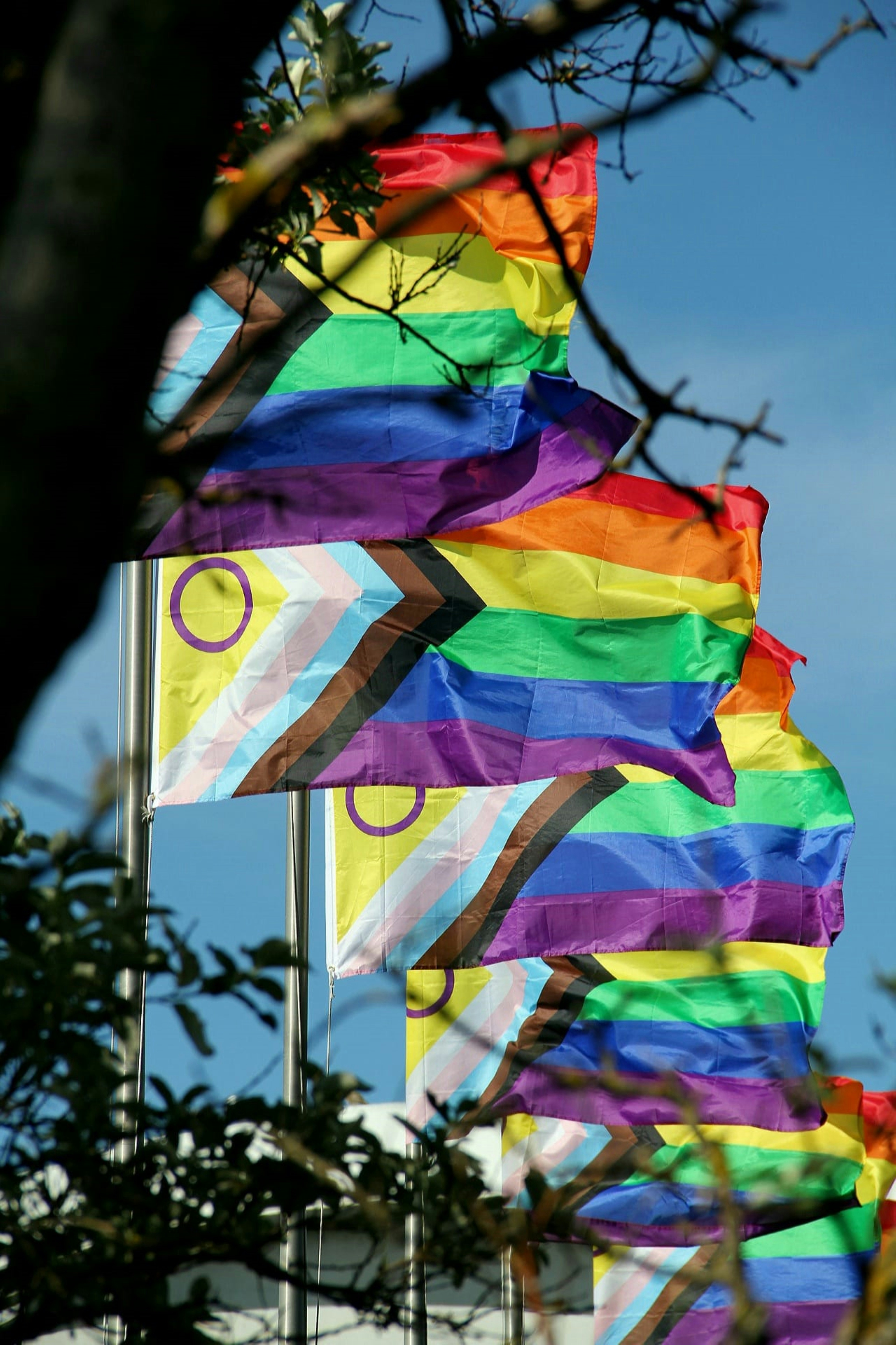 A transgender woman was arrested last month for attempting to use a women’s restroom at the Florida State Capitol building, according to the Tampa Bay Times.