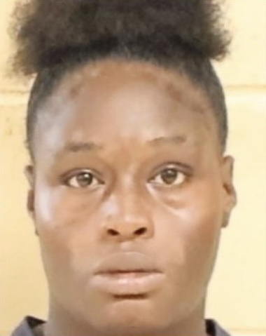 Mother Allegedly ‘Tried to Run Over Group of Elementary Students’ After They Fled from a Fight, Police Say