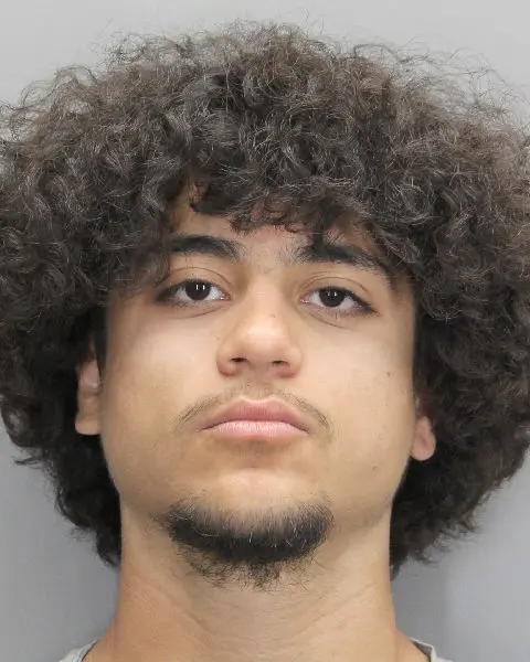 Teenage Driver Charged With Murder After Shooting and Killing Man for Kicking His Tesla