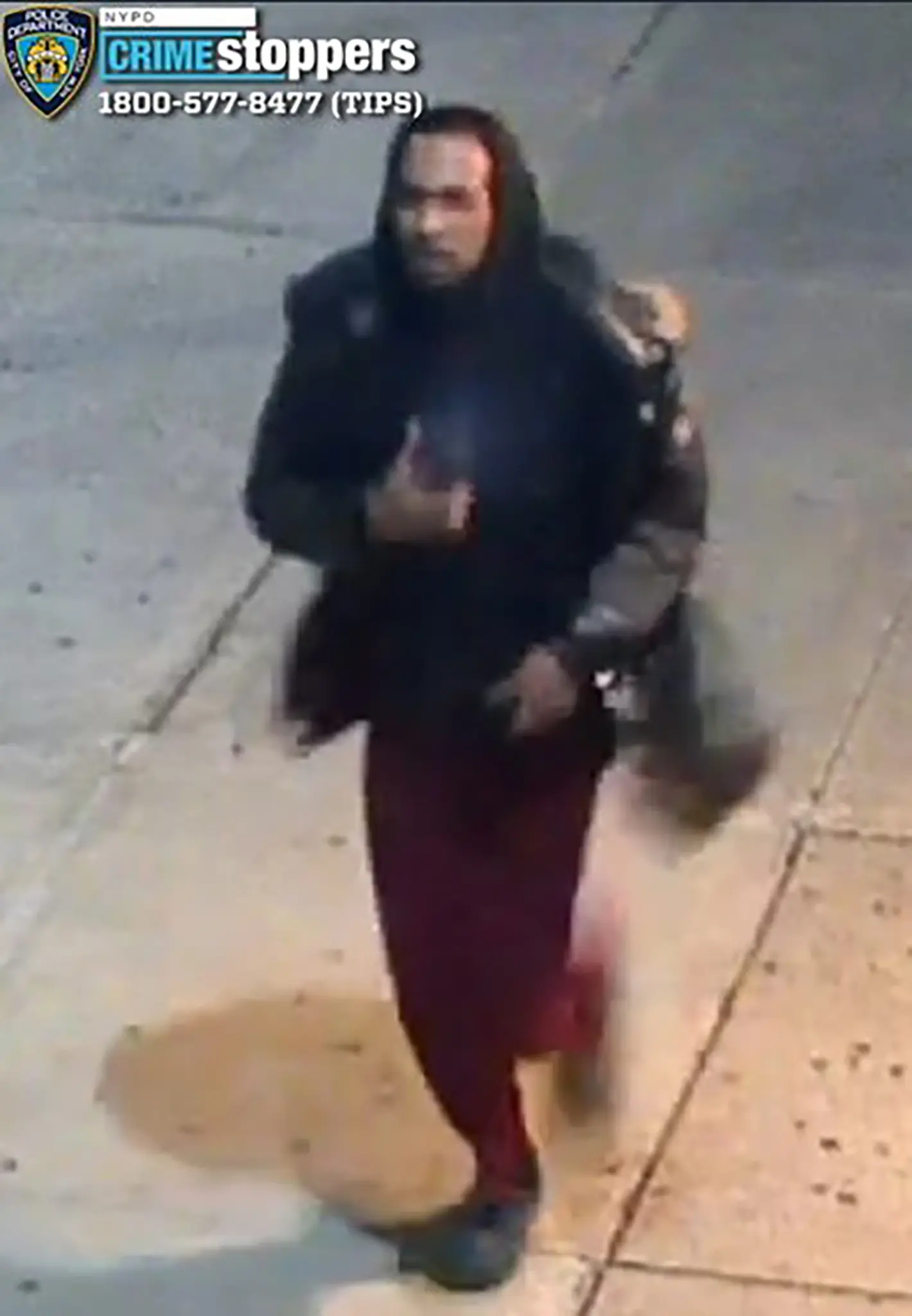 Man Allegedly Told Random Women They Had a Spider on Them Before Groping Them, Police Say