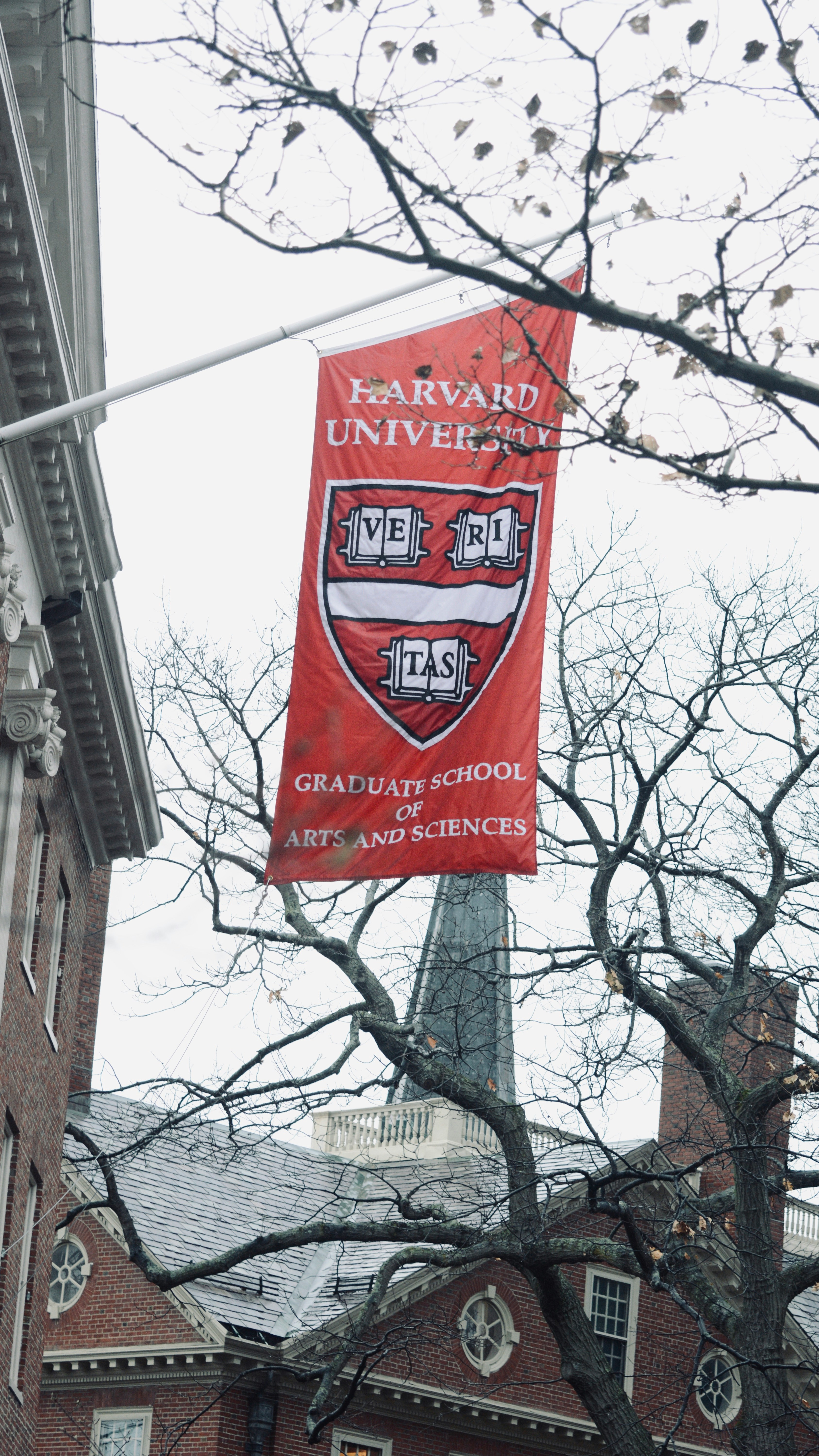 Harvard students are expressing frustration after the school’s Office of Undergraduate Education released a report last week pointing to widespread grade inflation, per the NY Post.